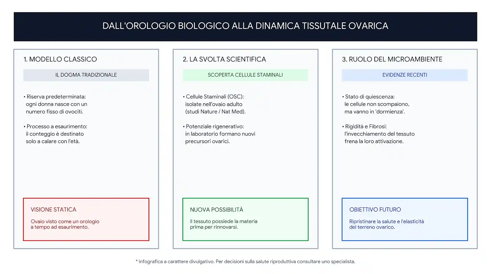Infografica esplicativa sul passaggio da orologio biologico fisso a dormienza del microambiente ovarico